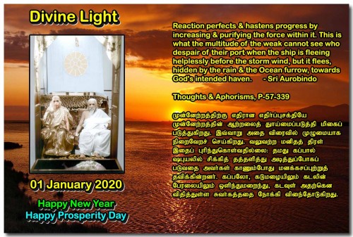DIVINE LIGHT 01 JANUARY 2020
