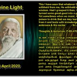 DIVINE-LIGHT-03-APRIL-2020