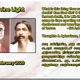 DIVINE-LIGHT-04-FEBRUARY-2020