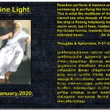 DIVINE-LIGHT-06-JANUARY-2020