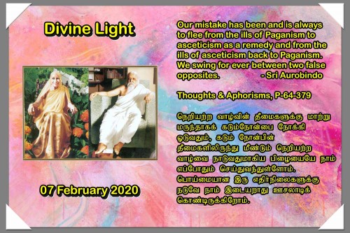 DIVINE LIGHT 07 FEBRUARY 2020