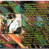 DIVINE-LIGHT-09-MARCH-2020