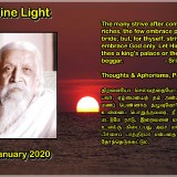 DIVINE-LIGHT-10-JANUARY-2020