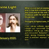 DIVINE-LIGHT-11-JANUARY-2020