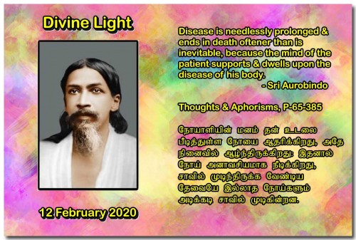 DIVINE LIGHT 12 FEBRUARY 2020