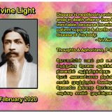 DIVINE-LIGHT-12-FEBRUARY-2020