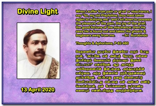 DIVINE LIGHT 13 APRIL 2020