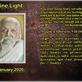 DIVINE-LIGHT-13-JANUARY-2020