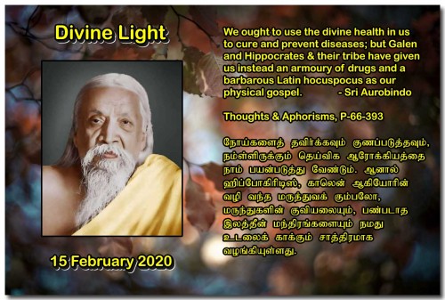 DIVINE-LIGHT-15-FEBRUARY-2020.jpg