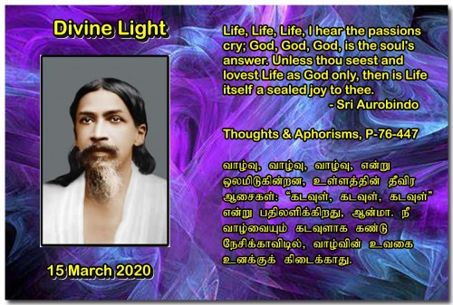 DIVINE LIGHT 15 MARCH 2020