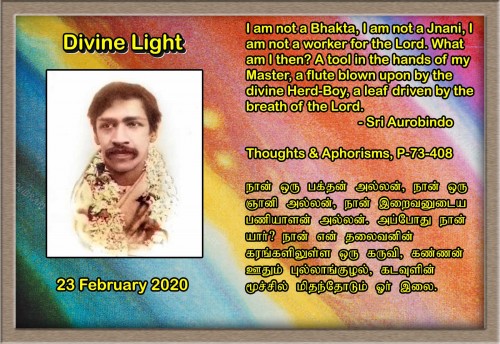 DIVINE LIGHT 23 FEBRUARY 2020