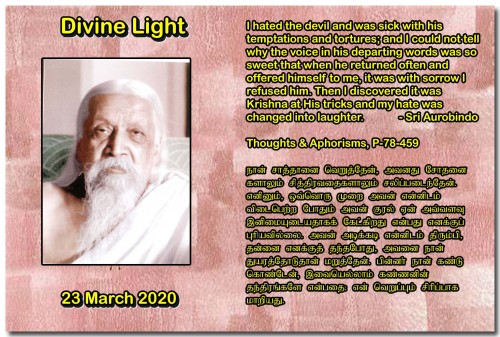 DIVINE-LIGHT-23-MARCH-2020.jpg