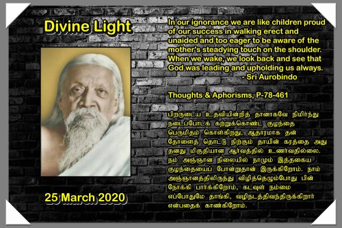 DIVINE-LIGHT-25-MARCH-2020.jpg