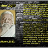 DIVINE-LIGHT-25-MARCH-2020