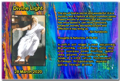 DIVINE-LIGHT-28-MARCH-2020.jpg
