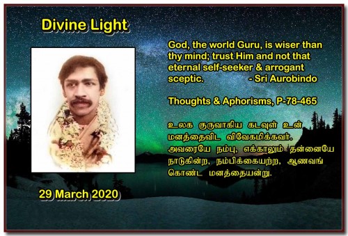 DIVINE-LIGHT-29-MARCH-2020.jpg