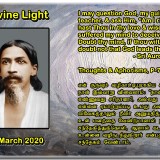DIVINE-LIGHT-31-MARCH-2020