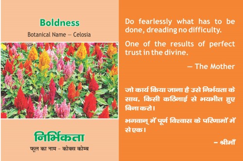 Boldness