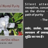 Integral-Mental-Purity