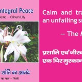 Joy-of-Integral-Peace