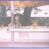 Samadhi-Sri-Aurobindo-Ashram-7