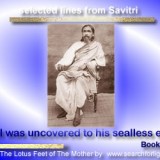 Savitri-106