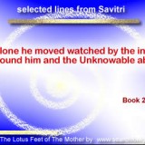 Savitri-126