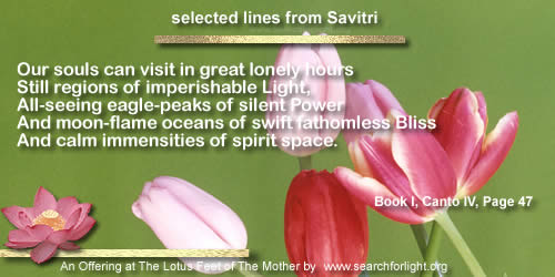 Savitri-143.jpg