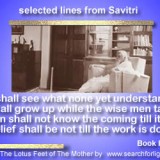 Savitri-148