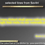 Savitri-30