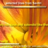 Savitri-63