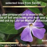 Savitri-8