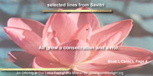 Savitri-80.jpg