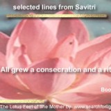 Savitri-80