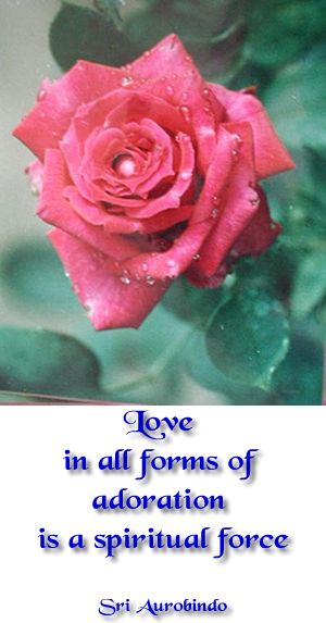 FlowerCards-5.jpg