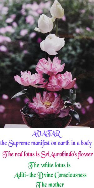 FlowerCards-8.jpg