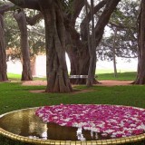 1_matrimandir-at-auroville