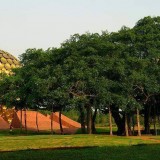 28_matrimandir-at-auroville