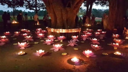 4_matrimandir-at-auroville.jpg