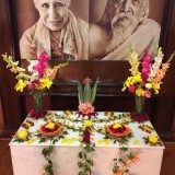 27_Flower-Decorations-at-Sri-Aurobindo-Center-Chandigarh
