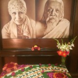 2_Flower-Decorations-at-Sri-Aurobindo-Center-Chandigarh