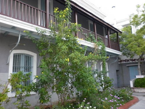Sri-Aurobindo-Ashram-School-3.jpg