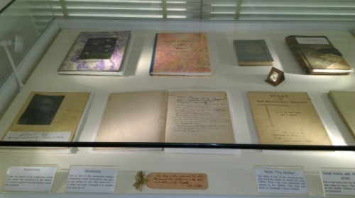 SriSmriti-Sri-Aurobindo-Ashram-Delhi-29.jpg