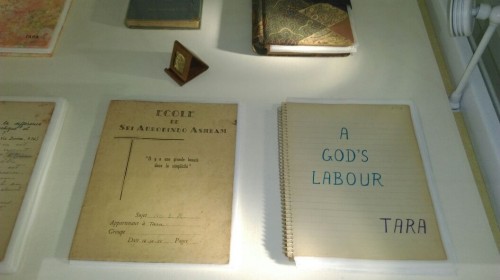 SriSmriti-Sri-Aurobindo-Ashram-Delhi-5.jpg