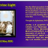 DIVINE-LIGHT-10-MAY-2020
