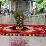 Sri-Aurobindo-Yoga-Mandir-Rourkela-Flower-Decorations-22