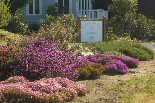 6Sri-Aurobindo-Sadhana-Peetham-California-USA.jpg