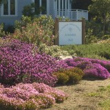 6Sri-Aurobindo-Sadhana-Peetham-California-USA