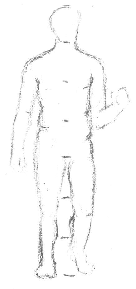 human-proportions.jpg