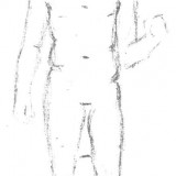 human-proportions